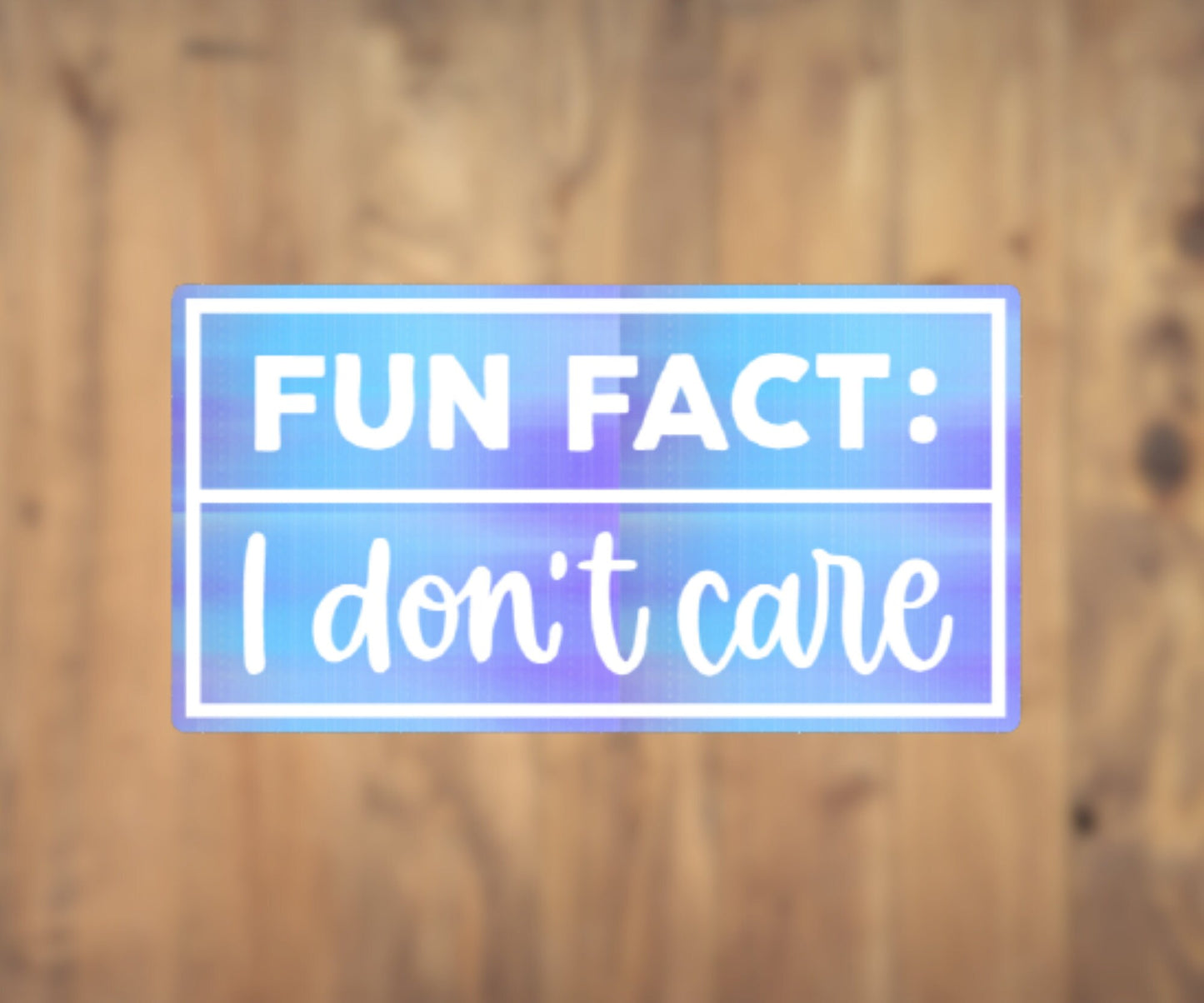 Fun Fact: I Don't Care Vinyl Sticker | Laptop Sticker | Tumbler Sticker | Phone Sticker | Water Bottle Sticker |  Planner Sticker