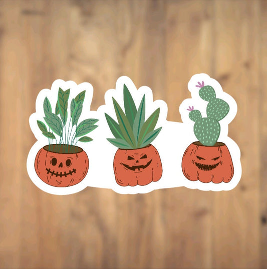 Succulents In Ceramic Pumpkin Pot, Vinyl Sticker, Spooky, Halloween, Plant Lover, Plant Gift, Laptop, Phone Case, Cactus, Cute